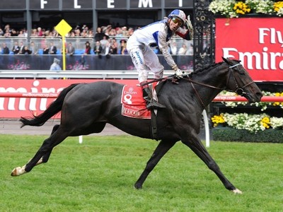 Melbourne Cup Winning- Americain Euthinised